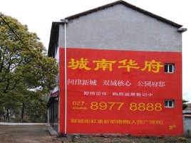 城固百分之90的人都不了解的农村墙体广告