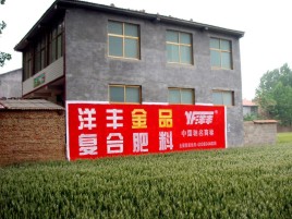 城固如何让墙体广告展现最大化效果