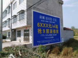 城固墙体广告质量分析