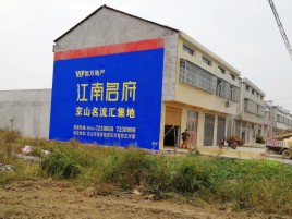 城固农村墙体广告在不同形式上面展现的不同特色