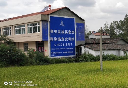 城固决定墙体广告价格的因素有哪些?